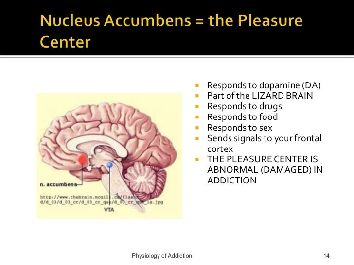 physiology and sexual addiction Physiology and sexual addiction